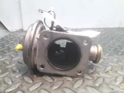 Peça sobressalente para automóvel em segunda mão válvula egr por bmw serie 3 berlina (e90) 2.0 16v diesel cat referências oem iam 70051200