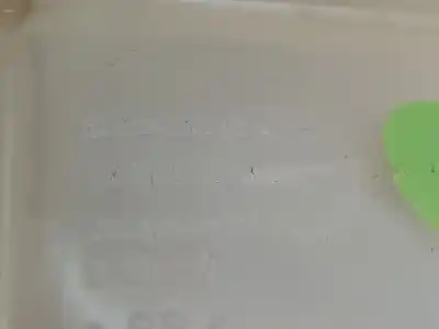 Peça sobressalente para automóvel em segunda mão depósito de expansão por ford kuga (cbv) titanium s 4x4 referências oem iam 8v618k218d  