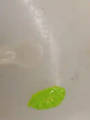 Автозапчастина б/у розширення депозит для RENAULT CLIO IV (BH_) 1.5 DCI 75 Посилання на OEM IAM 217100680R 217100680R 217100680R