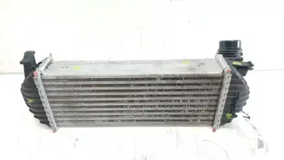Pezzo di ricambio per auto di seconda mano intercooler per renault kangoo express (fw0/1_) 1.5 dci 90 (fw0g, fw05, fw08, fw11) riferimenti oem iam 144963234r