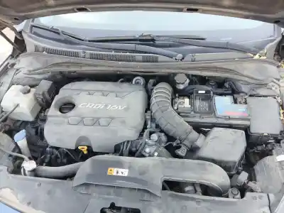 Pezzo di ricambio per auto di seconda mano RIDUTTORE per HYUNDAI I40 I CW (VF) 1.7 CRDI Riferimenti OEM IAM   