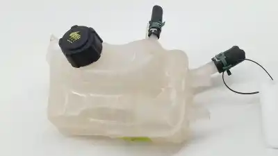 Автозапчастина б/у розширення депозит для renault scénic iii (jz0/1_) 1.6 e85 (jz03, jz1y) посилання на oem iam 217100005r 217100005r 217100005r