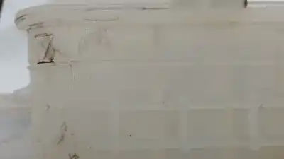 Автозапчастина б/у розширення депозит для renault scénic iii (jz0/1_) 1.6 e85 (jz03, jz1y) посилання на oem iam 217100005r 217100005r 217100005r