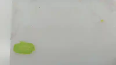 Автозапчастина б/у чистий депозит для renault scénic iii (jz0/1_) 1.6 e85 (jz03, jz1y) посилання на oem iam 289100014r 289100014r 289100014r