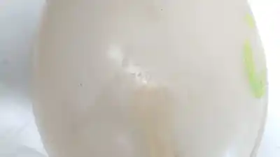 Автозапчастина б/у розширення депозит для renault clio iv (bh_) 1.5 dci 90 посилання на oem iam 217107259r 217107259r 217107259r