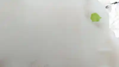 Peça sobressalente para automóvel em segunda mão depósito do limpa vidros por nissan primastar furgón (x83) 1.9 dci 100 referências oem iam 8200207532 8200207532 8200207532