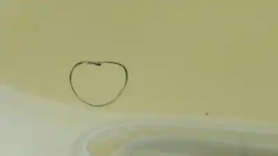 Автозапчастина б/у загальні двері для renault kangoo (kc0/1_) 1.6 16v посилання на oem iam 7751472530 7751472530 7751472530