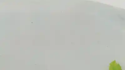 Автозапчастина б/у чистий депозит для nissan qashqai / qashqai +2 i (j10, nj10, jj10e) 1.5 dci посилання на oem iam 28910jd000 28910jd000 28910jd000