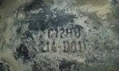 Second-hand car spare part front differential for opel frontera a 2.5 turbodiesel oem iam references c12hu217002  