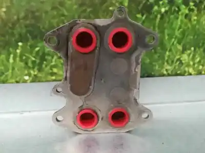 Pezzo di ricambio per auto di seconda mano radiatore olio motore per audi a3 (8p) 1.6 tdi riferimenti oem iam 03l117021c  
