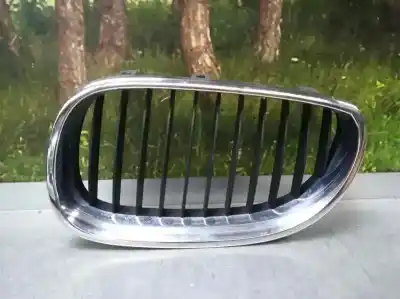 Pezzo di ricambio per auto di seconda mano Griglia Anteriore per BMW SERIE 5 BERLINA (E60) 520i Riferimenti OEM IAM   
