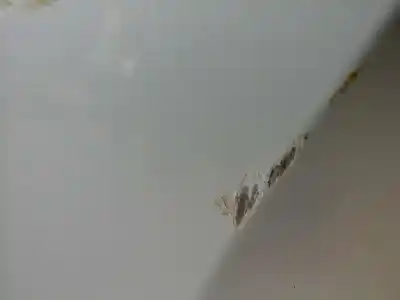 Автозапчастина б/у загальні двері для kia pro_cee´d ( ) concept посилання на oem iam   