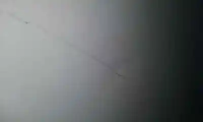 Second-hand car spare part left front door for citroen nemo basis oem iam references 9002fj  