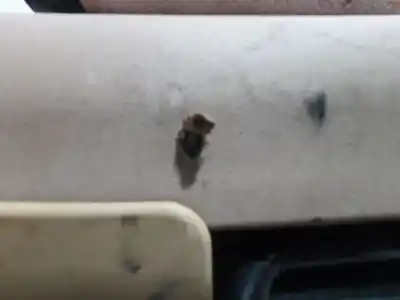 Second-hand car spare part parcel shelf for bmw x3 (e83) 2.0d oem iam references 3424660  