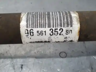 Pezzo di ricambio per auto di seconda mano trasmissione anteriore sinistra per citroen c4 lim. white attraction riferimenti oem iam 9656135280   Pezzo di ricambio per auto di seconda mano trasmissione anteriore sinistra per citroen c4 lim. white attraction riferimenti oem iam 9656135280