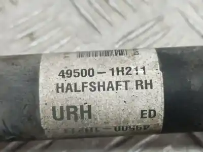 Peça sobressalente para automóvel em segunda mão transmissão dianteira direita por kia pro_cee´d drive referências oem iam 495001h211  