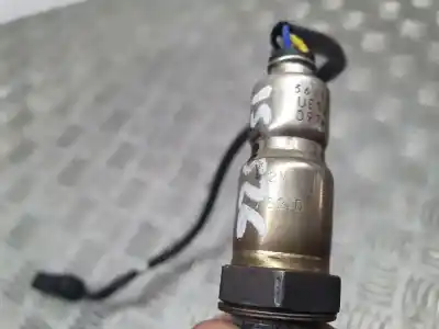 İkinci el araba yedek parçası lambda probu için seat ibiza (6j5) reference oem iam referansları 906262d  