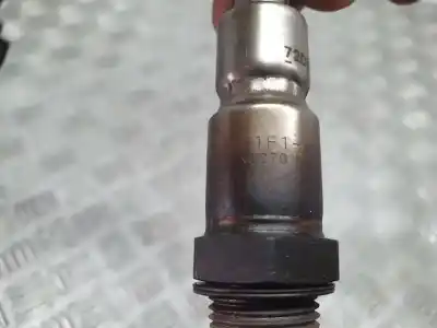 Peça sobressalente para automóvel em segunda mão sonda lambda por ford c-max (ceu) trend referências oem iam f1f19y460ea  