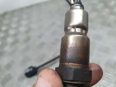 Peça sobressalente para automóvel em segunda mão sonda lambda por ford c-max (ceu) trend referências oem iam f1f19y460da  