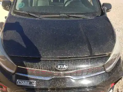Pezzo di ricambio per auto di seconda mano Cofano per KIA PICANTO (JA) GT LINE Riferimenti OEM IAM   