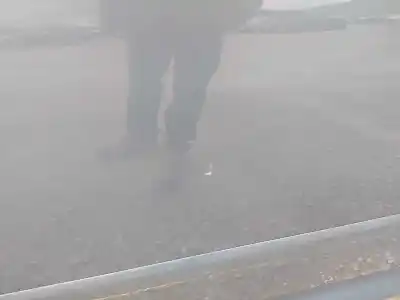 Автозапчастина б/у передні ліві двері для audi a3 (8p) attration посилання на oem iam 8p3831051d  