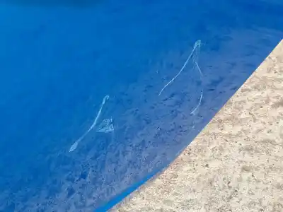 Автозапчастина б/у двері задні ліві для seat leon (5f1) 1.6 tdi посилання на oem iam 5f4833055  