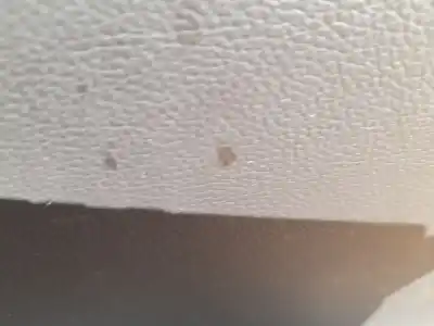 Peça sobressalente para automóvel em segunda mão elevador de vidros dianteiro direito por kia cee'd (jd) 1.0 t-gdi referências oem iam 82481a2700