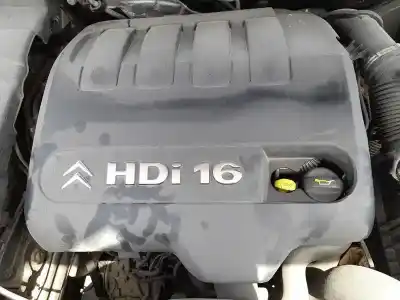 Tweedehands auto-onderdeel motorkap voor citroen c5 ii (rc_) 2.0 hdi (rcrhrh) oem iam-referenties 013770  