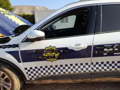 Автозапчастина б/у ПЕРЕДНІ ЛІВІ ДВЕРІ для FORD KUGA III (DFK)  Посилання на OEM IAM 2830895  