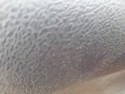 Pezzo di ricambio per auto di seconda mano alzacristalli posteriore sinistro per suzuki vitara (ly) 1.6 ddis (apk 416d) riferimenti oem iam 8354054p00000