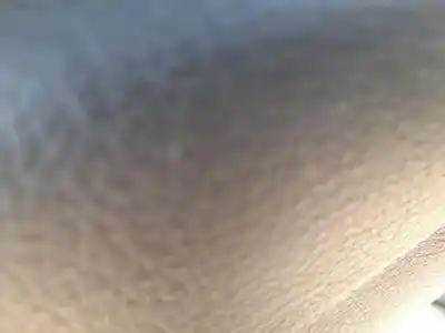 Автозапчасти б/у регулятор стекла заднего левого за audi a6 c6 avant (4f5) 3.0 tdi quattro ссылки oem iam 4f0839461b