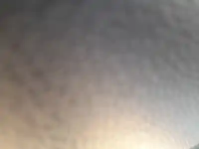 Second-hand car spare part rear left window regulator for kia stonic (yb) 1.0 t-gdi eco-dynamics+ oem iam references 83401h8100 Second-hand car spare part rear left window regulator for kia stonic (yb) 1.0 t-gdi eco-dynamics+ oem iam references 83401h8100