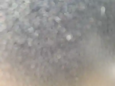 Second-hand car spare part driver left window regulator for nissan qashqai / qashqai +2 i (j10, nj10, jj10e) 1.5 dci oem iam references 80771jd20a