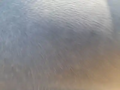 Tweedehands auto-onderdeel regelaar rechts voor ruit voor bmw serie 1 lim. (f40) 118d oem iam-referenties 51337465248