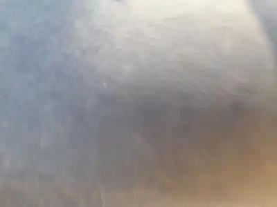 Tweedehands auto-onderdeel regelaar rechts achterruit: voor bmw serie 1 lim. (f40) 118d oem iam-referenties 51337465244