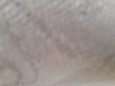 Pezzo di ricambio per auto di seconda mano alzacristalli anteriore sinistro per nissan primera (p11) 2.0 td riferimenti oem iam 807012f010