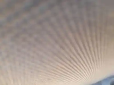 Piesă de schimb auto la mâna a doua MECANISM ACTIONARE GEAM SPATE STÂNGA pentru FIAT BRAVO II (198_) 1.9 D MULTIJET (198AXC1B) Referințe OEM IAM   