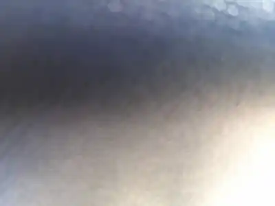 Peça sobressalente para automóvel em segunda mão elevador de vidros dianteiro direito por opel corsa f 1.2 (68) referências oem iam 9829043380