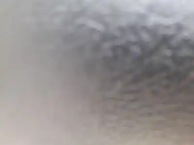 Peça sobressalente para automóvel em segunda mão elevador de vidros dianteiro direito por fiat tipo fastback (356_, 357_) 1.3 d (356hxh1a) referências oem iam 