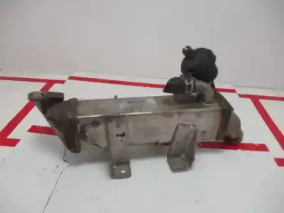 Автозапчастина б/у КУЛЕР EGR для NISSAN QASHQAI (J10)  Посилання на OEM IAM 8200719993B  824821