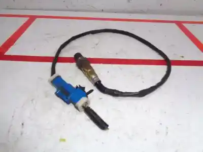 Peça sobressalente para automóvel em segunda mão sonda lambda por ford focus lim. (cb8) trend referências oem iam cv619g444ca