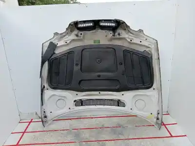 Pezzo di ricambio per auto di seconda mano cofano per bmw serie 3 compact (e46) 316ti riferimenti oem iam   867928