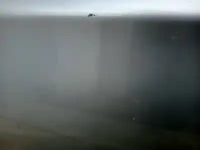 Pezzo di ricambio per auto di seconda mano porta anteriore sinistra per bmw serie 1 berlina (e81/e87) 118d riferimenti oem iam   876651