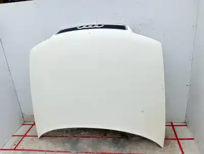 Pezzo di ricambio per auto di seconda mano COFANO per AUDI A4 B5 (8D2)  Riferimenti OEM IAM   876767