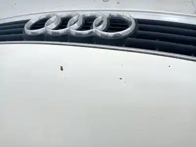 Pezzo di ricambio per auto di seconda mano cofano per audi a4 berlina (b5) 1.9 tdi riferimenti oem iam   876767