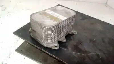 Pezzo di ricambio per auto di seconda mano radiatore olio motore per audi a3 (8p) 1.6 tdi riferimenti oem iam 03l117021c  