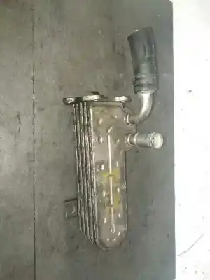 İkinci el araba yedek parçası Egr Sogutucu için VOLKSWAGEN PASSAT BERLINA (3C2) 2.0 TDI OEM IAM referansları 03G131513J  