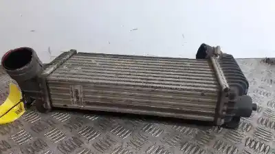 Peça sobressalente para automóvel em segunda mão intercooler por ford focus lim. trend referências oem iam bv619l440ck  