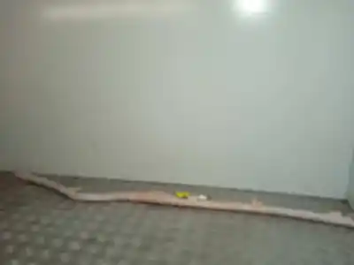 Peça sobressalente para automóvel em segunda mão airbag de cortina dianteiro direito por citroen c4 lim. business referências oem iam 9801890680