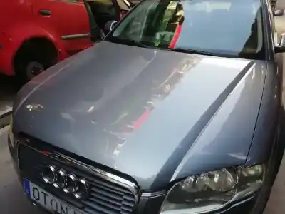 Peça sobressalente para automóvel em segunda mão capot por audi a4 avant (8e) 2.0 tdi referências oem iam 8e0823029d